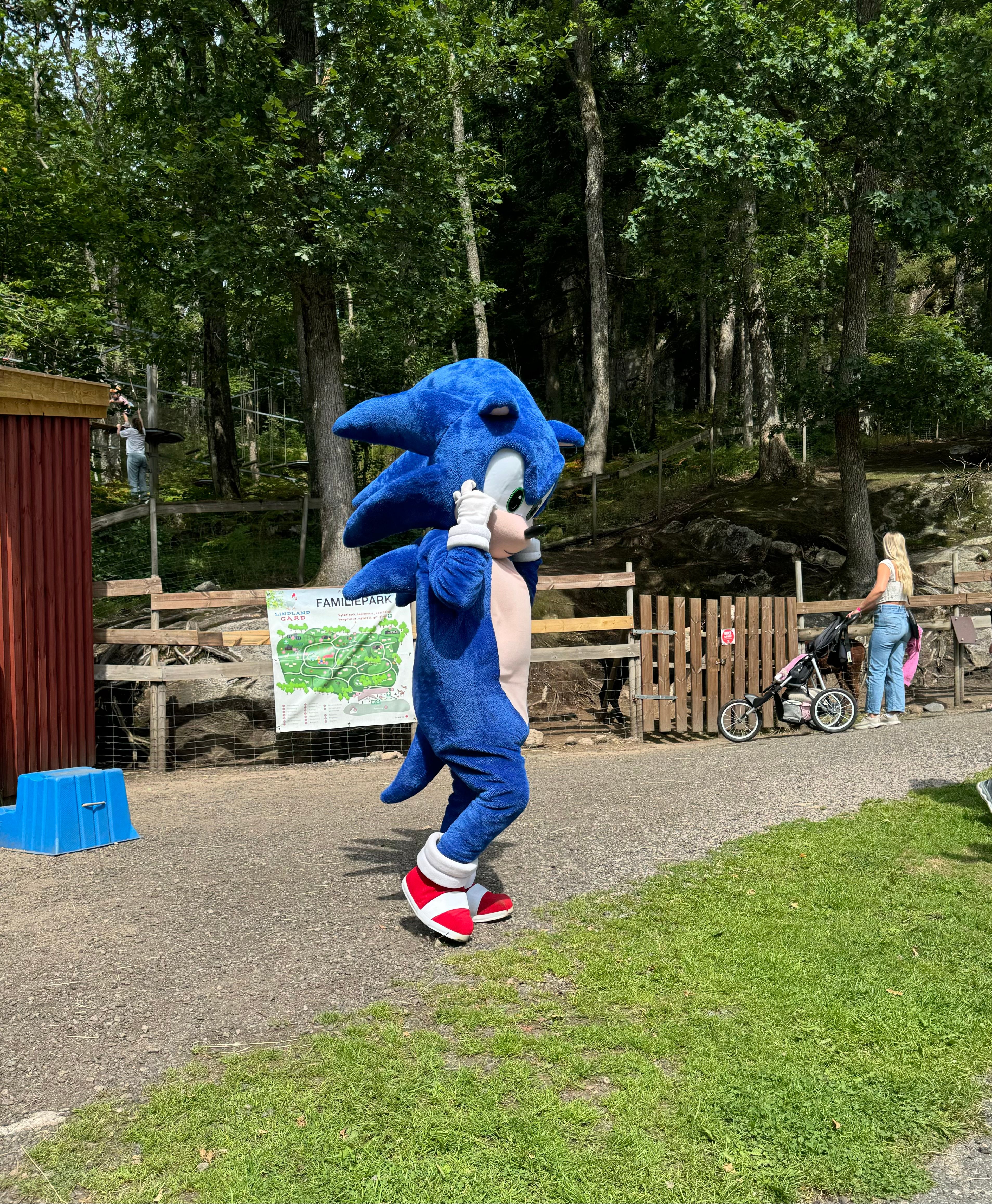 Bilde 29.07.2024, 13 07 21