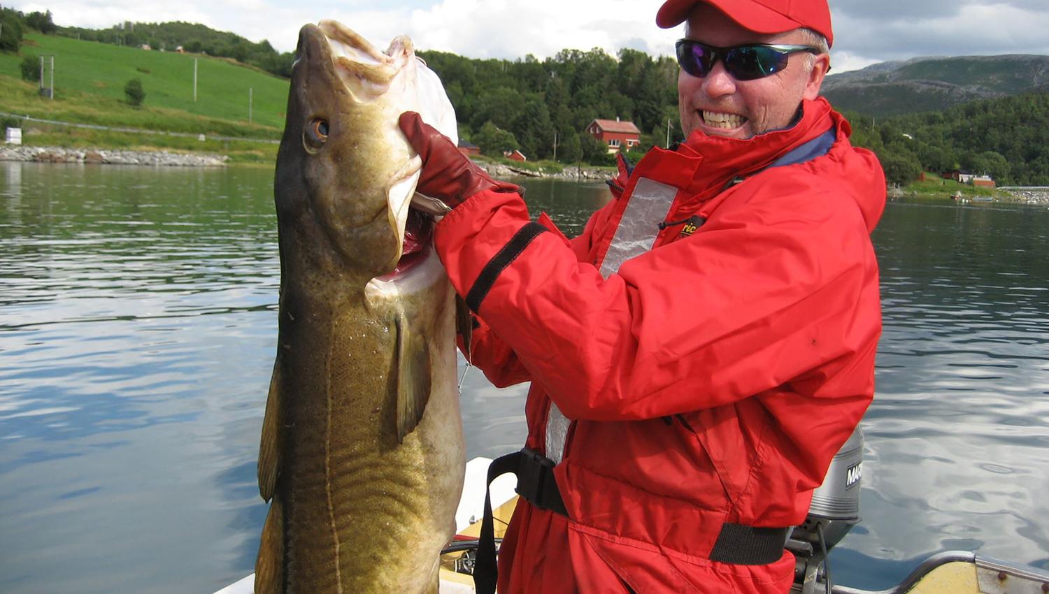 Kvitneset camping