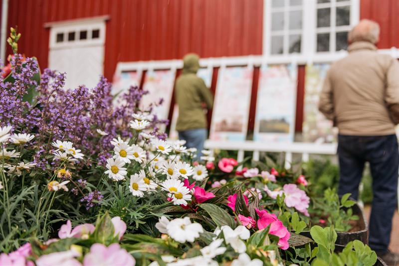 Utendørs utstilling