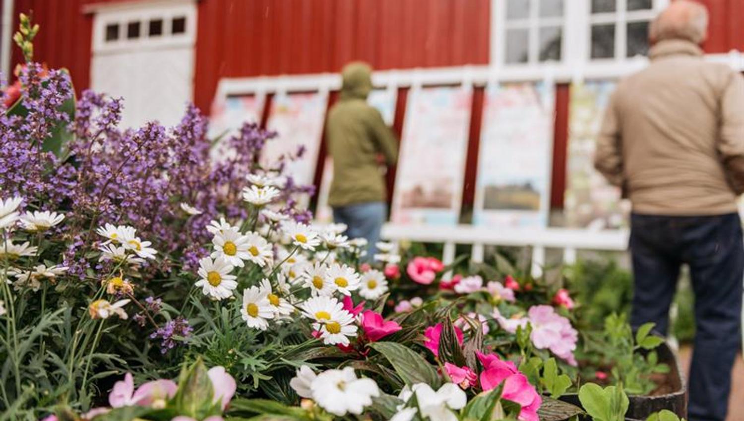 Utendørs utstilling