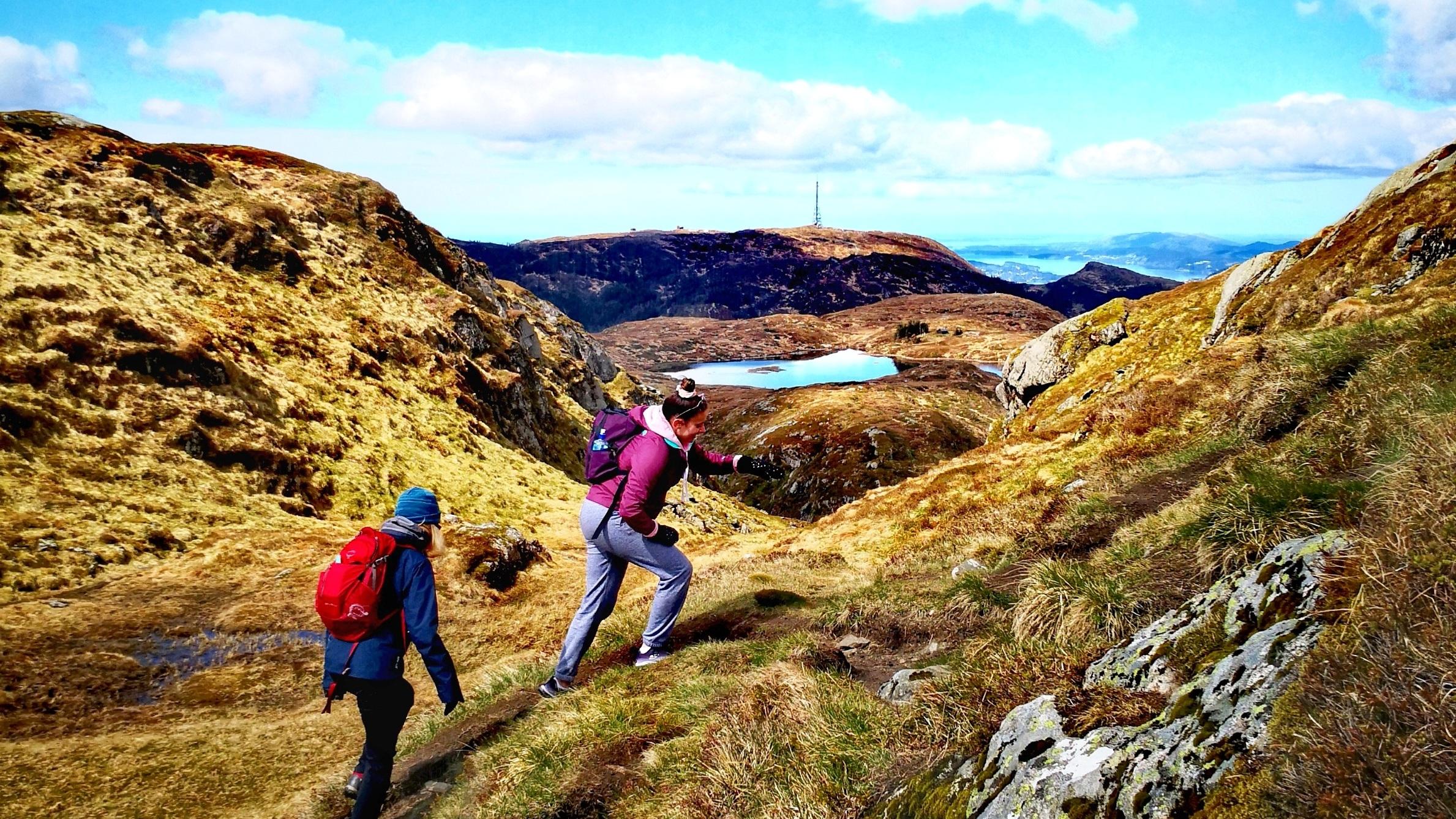 Guidet fjelltur - Bergen Panorama