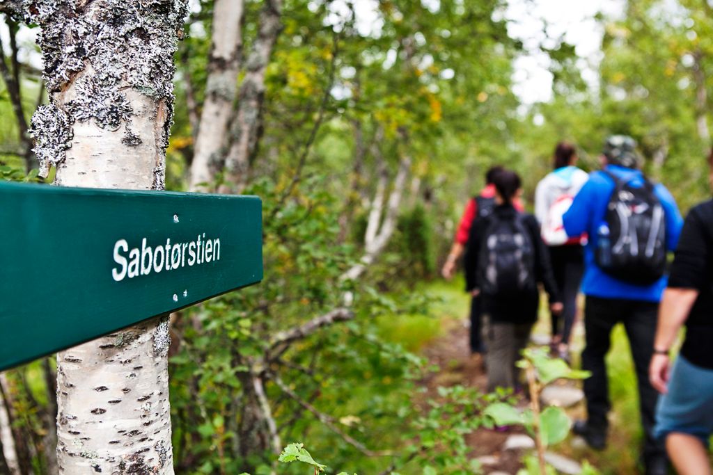 Sabotørstien er 8 km og starter ved Rjukan Fjellstue og ender opp ved parkeringen til Norsk Industriarbeidermuseum på Vemork