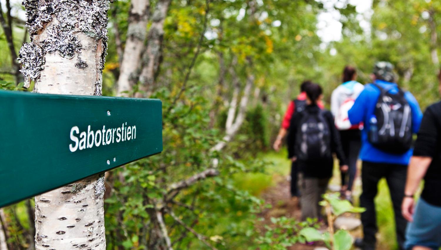 Sabotørstien er 8 km og starter ved Rjukan Fjellstue og ender opp ved parkeringen til Norsk Industriarbeidermuseum på Vemork