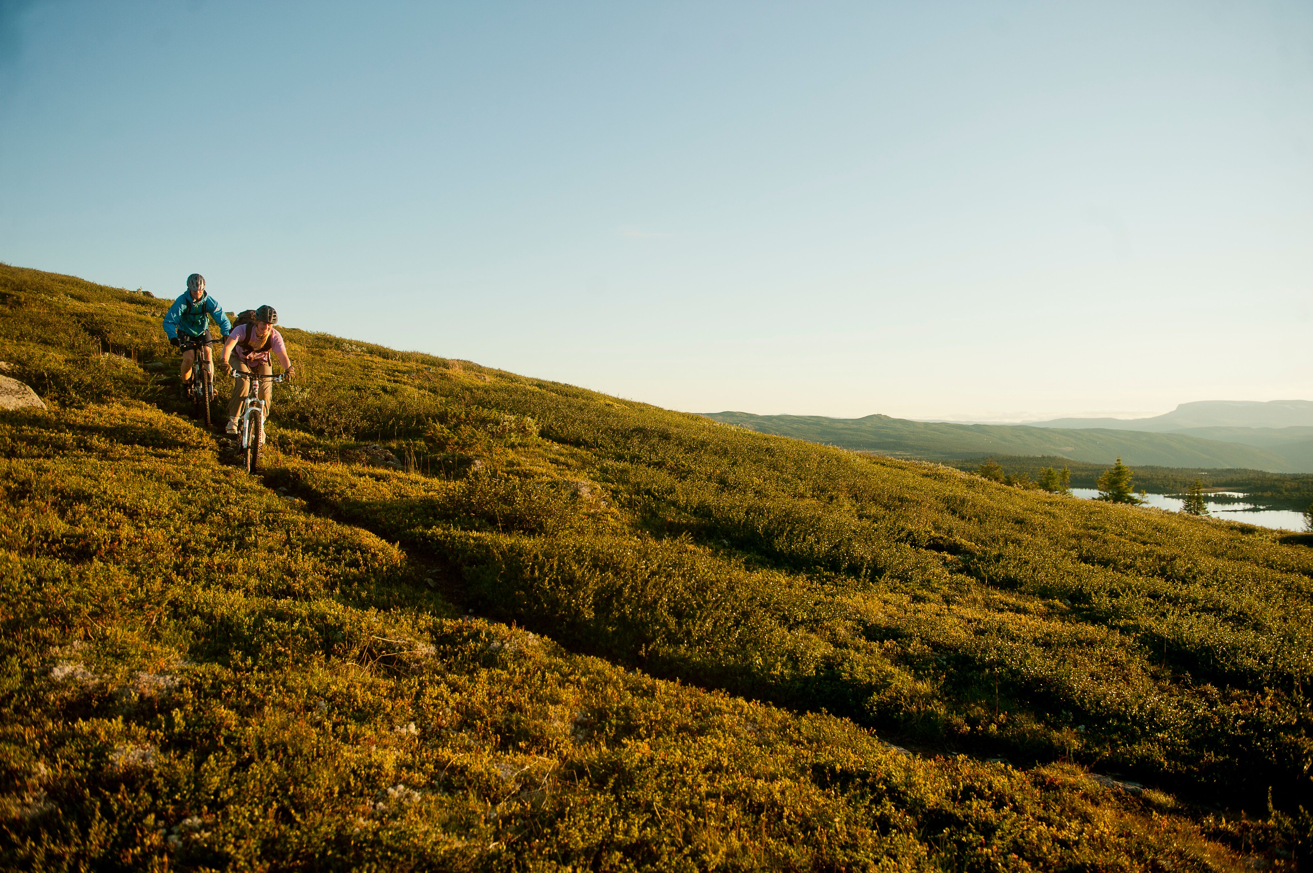 Hillbilly MTB AS