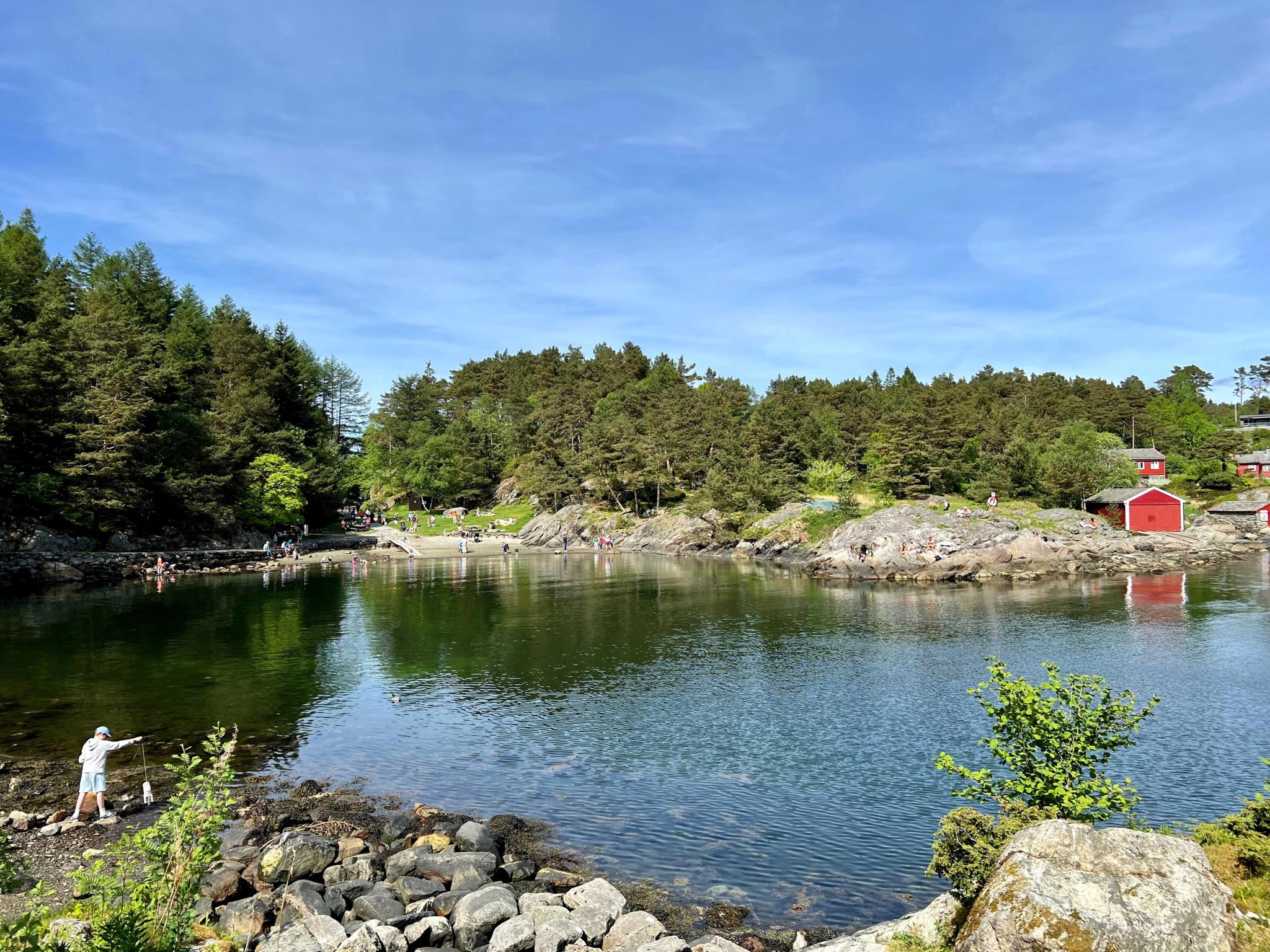 The arboretum and Bergen botanical garden