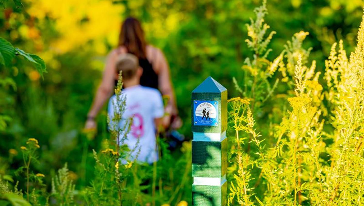 Coastal trail signpost