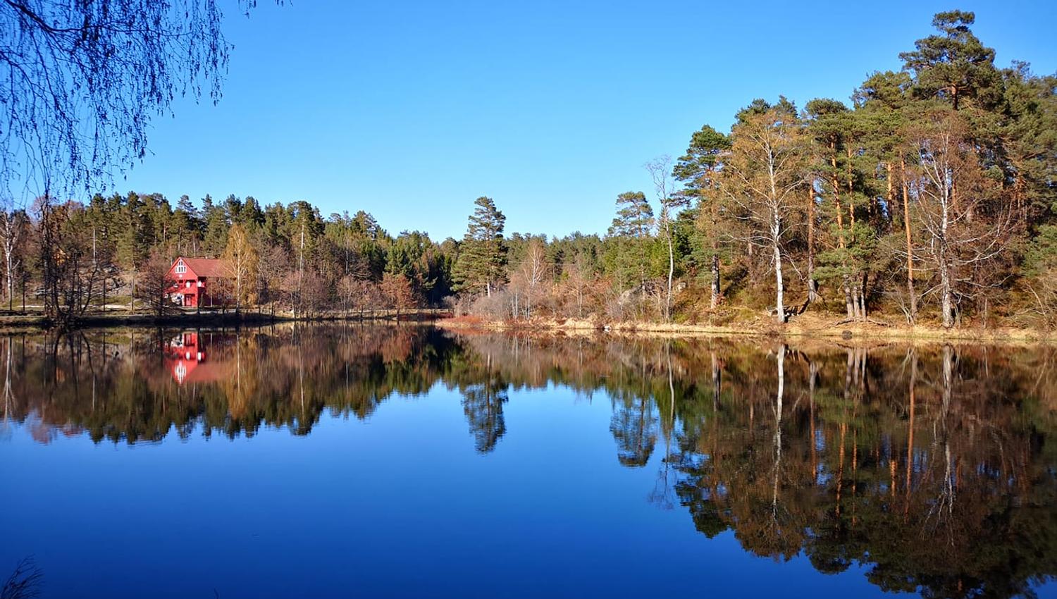Tjenna turområde