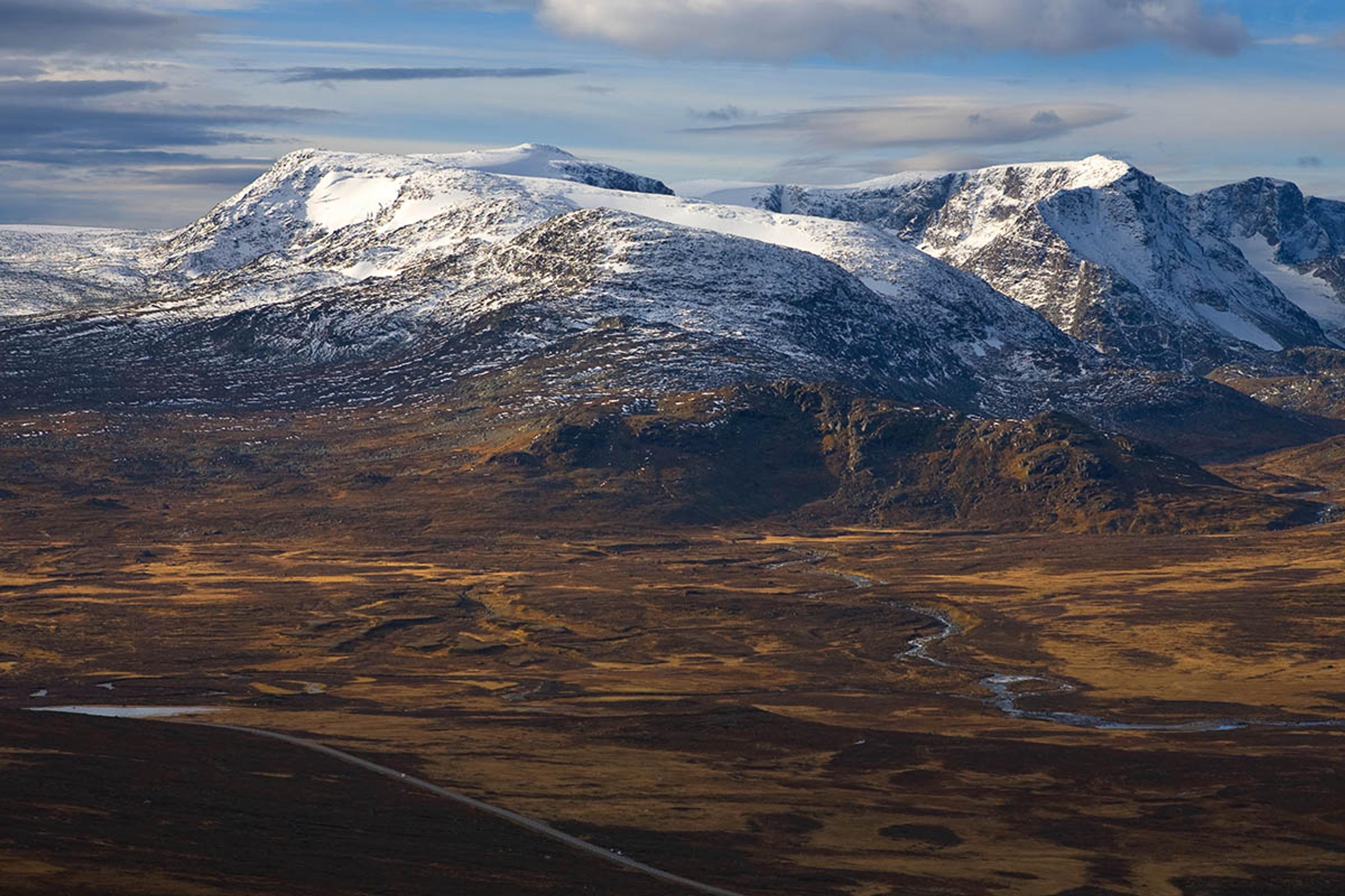 Rasletinden_20101013408