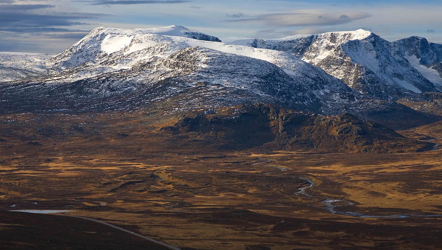 Rasletinden_20101013408