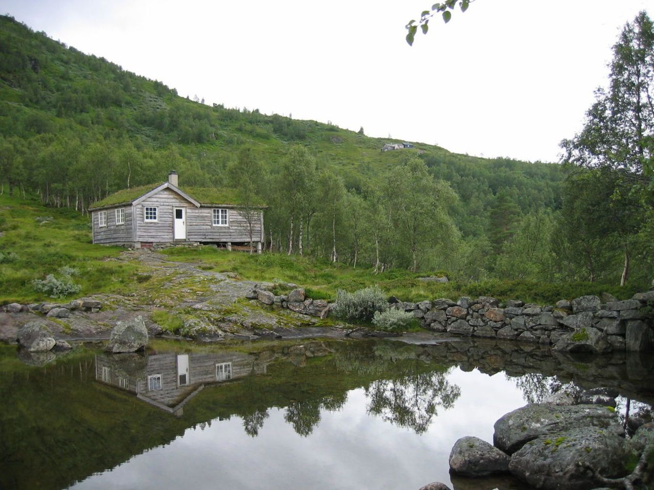 vatnasete mot eggjasete, Sveinung Selsvik