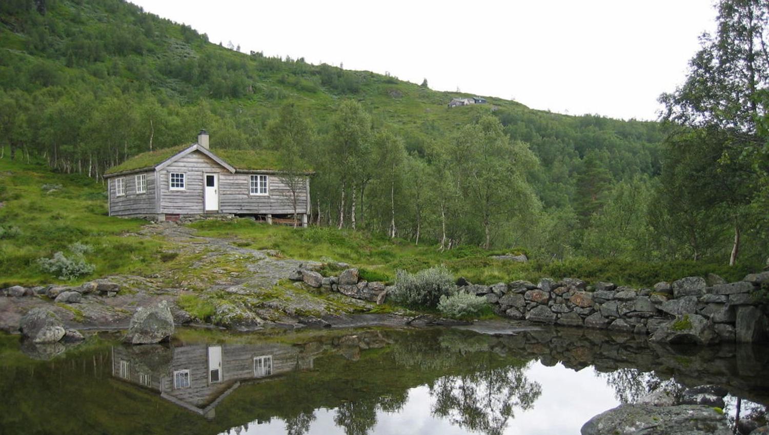 vatnasete mot eggjasete, Sveinung Selsvik