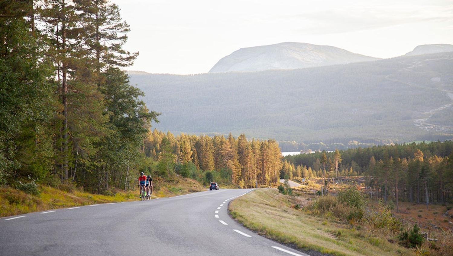 landeveissykling i Vrådal_web