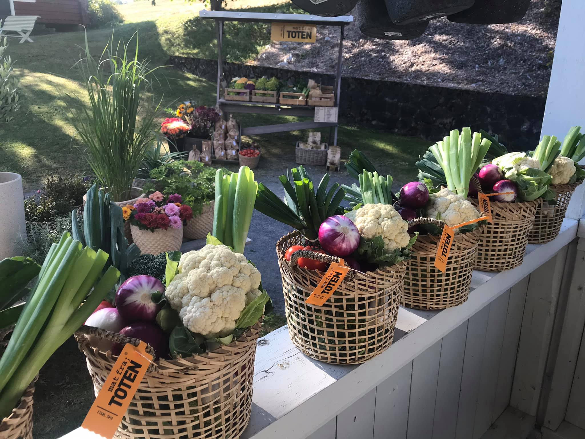 De 4 årstider, høst, grønnsaker, Mat fra Toten, Peder Balke-senteret