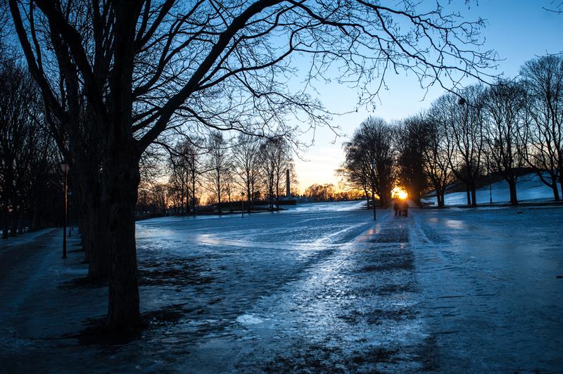Solnedgang i parken.