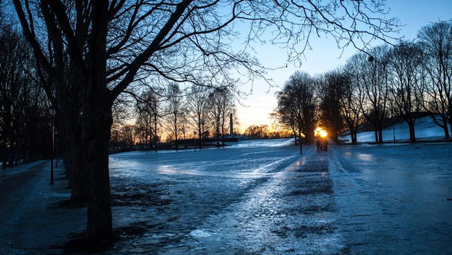 Solnedgang i parken.