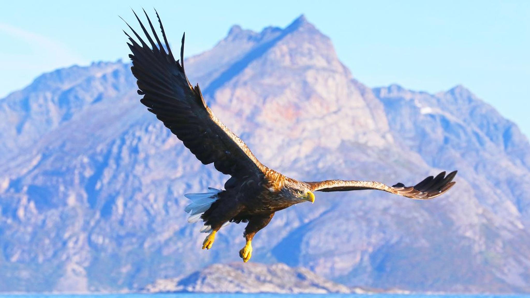 Wildlife Fjord Cruise – private trip