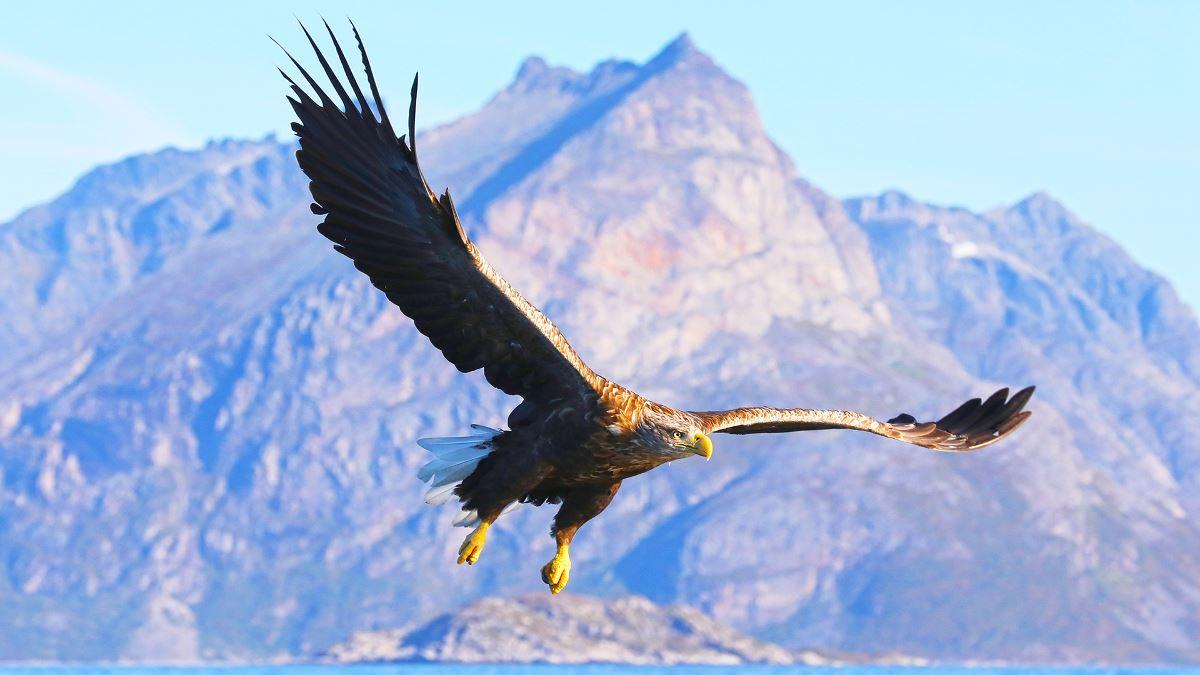 Wildlife Fjord Cruise – private trip