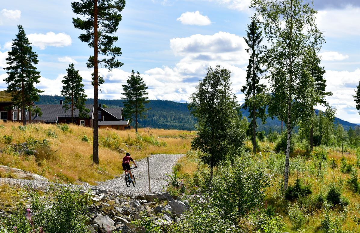 Lygnalia hytter - sommer - syklist