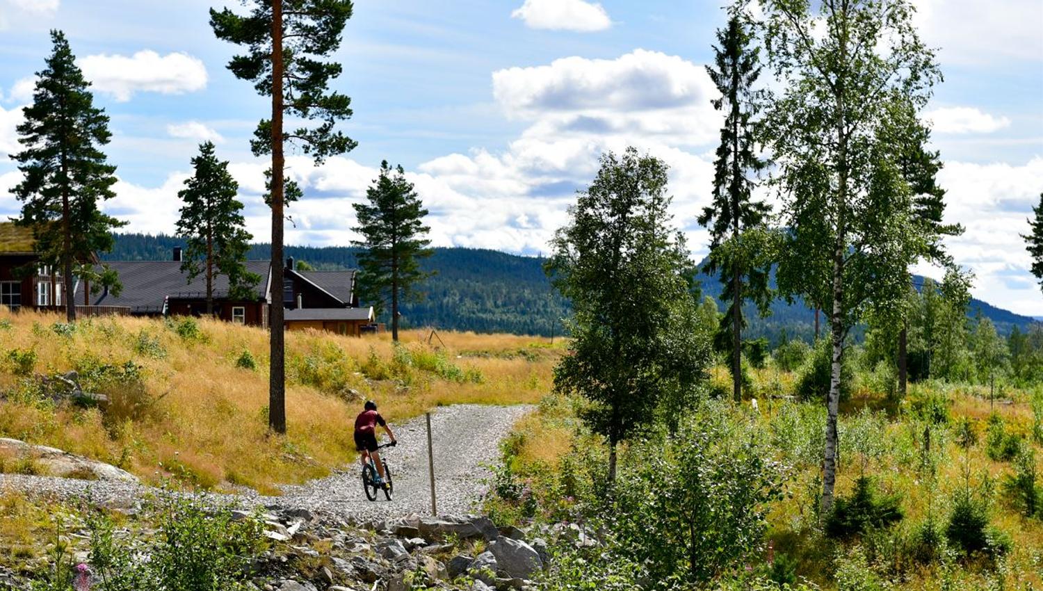 Lygnalia hytter - sommer - syklist