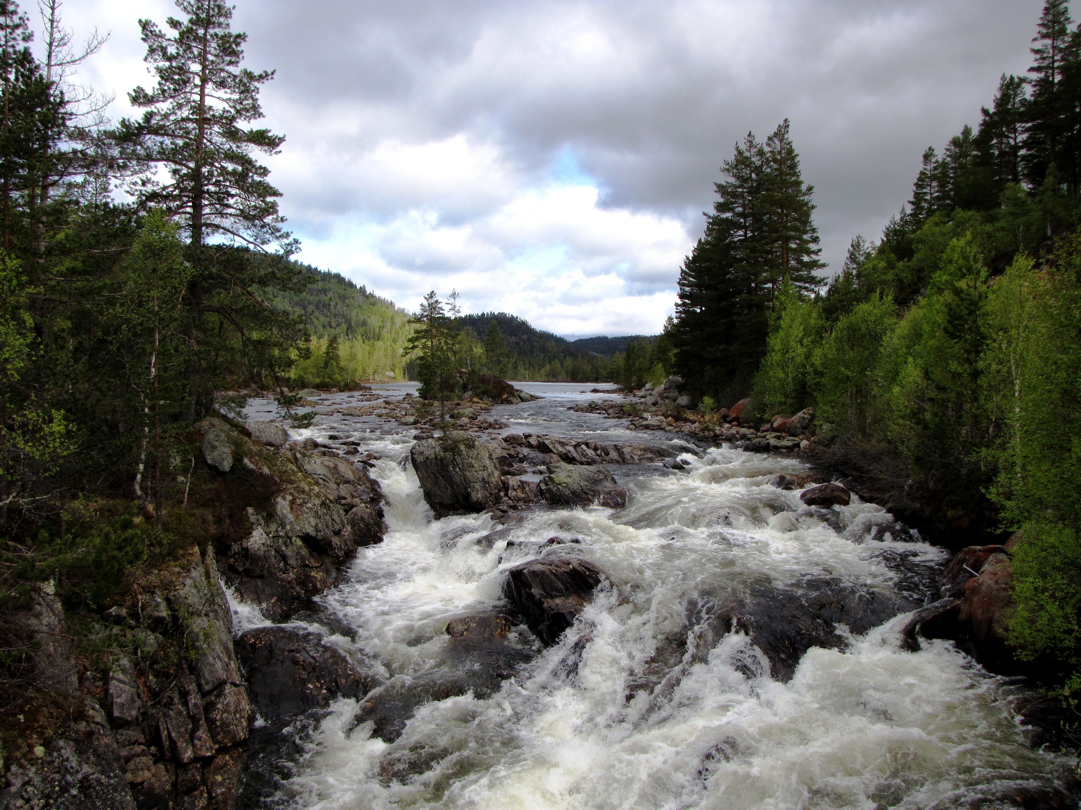 Årdalen