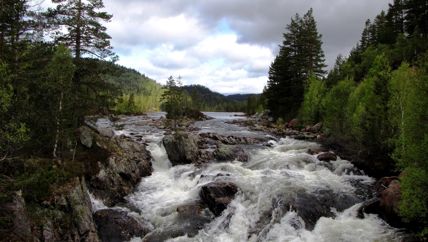Årdalen
