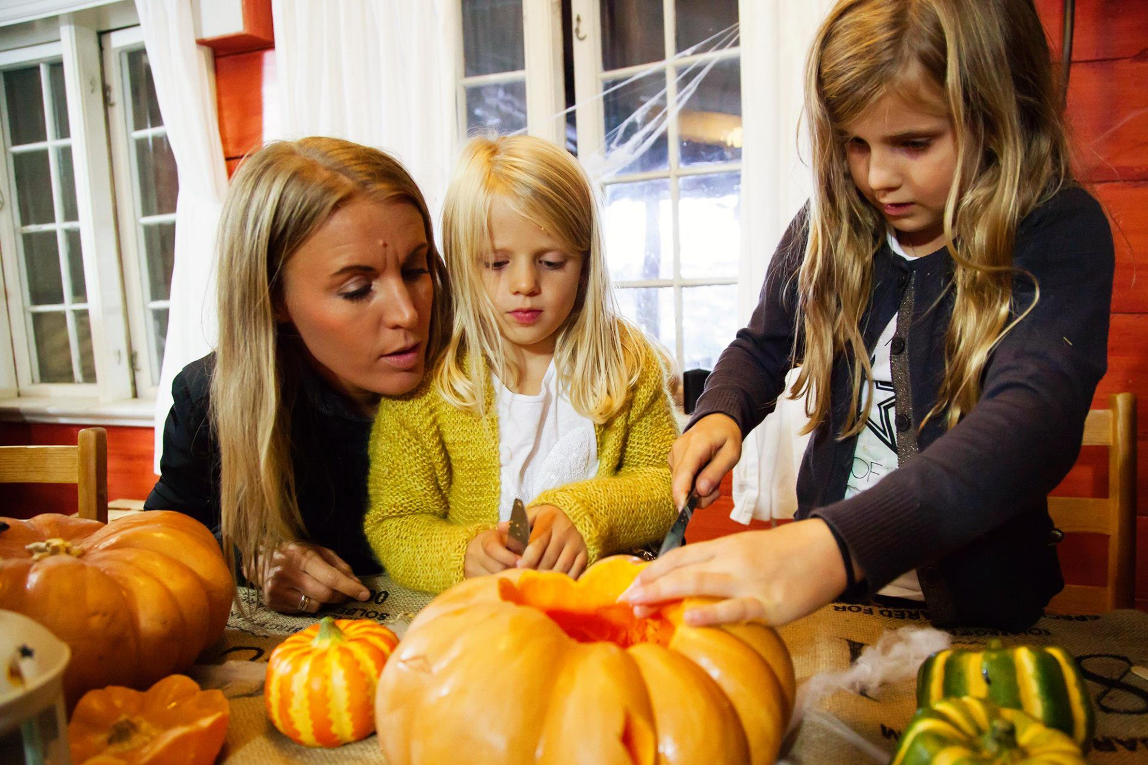 BateLodge - Opplev Kongeparken fra en helt ny side!