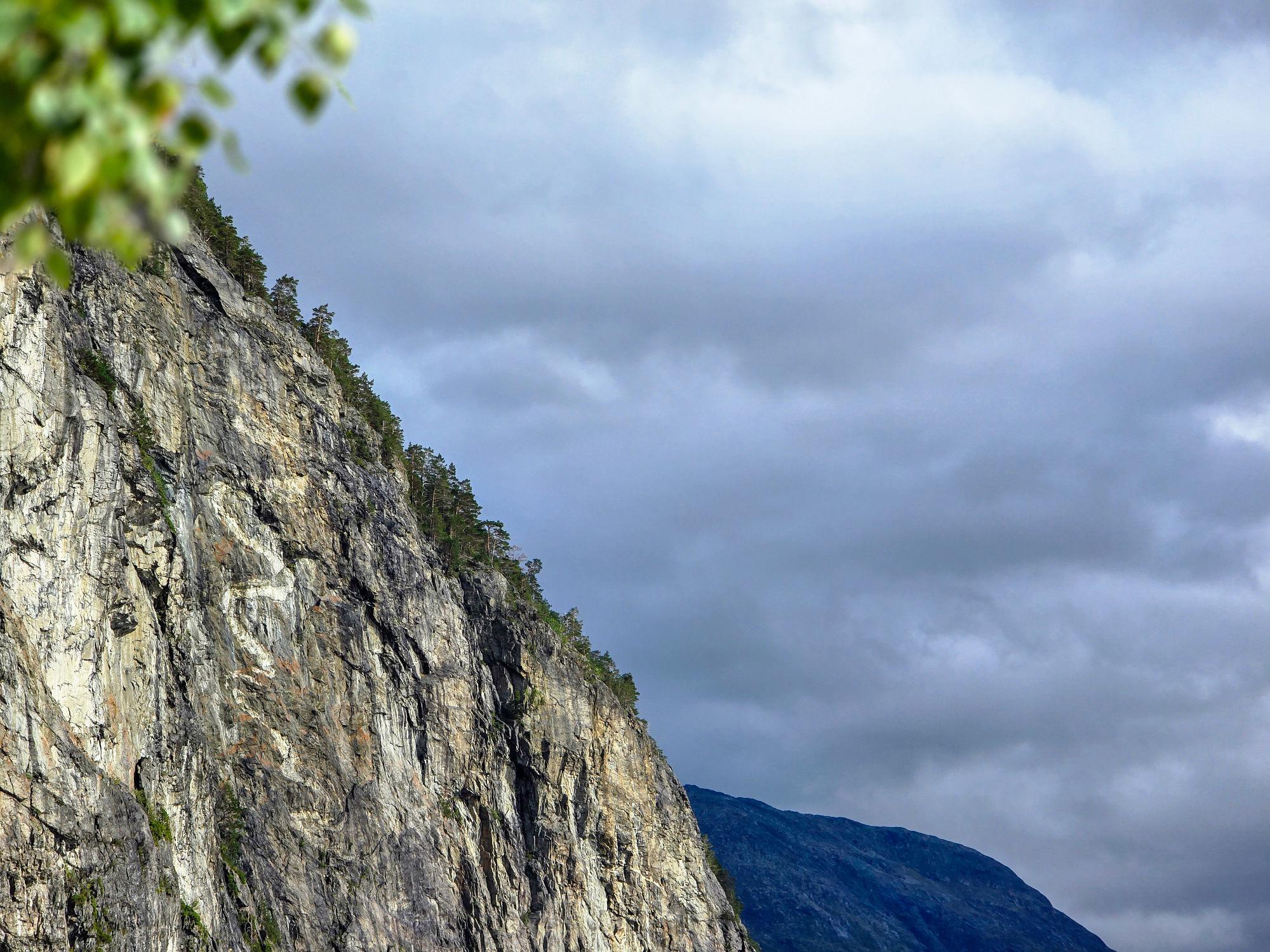 Sylteormen i Valldal