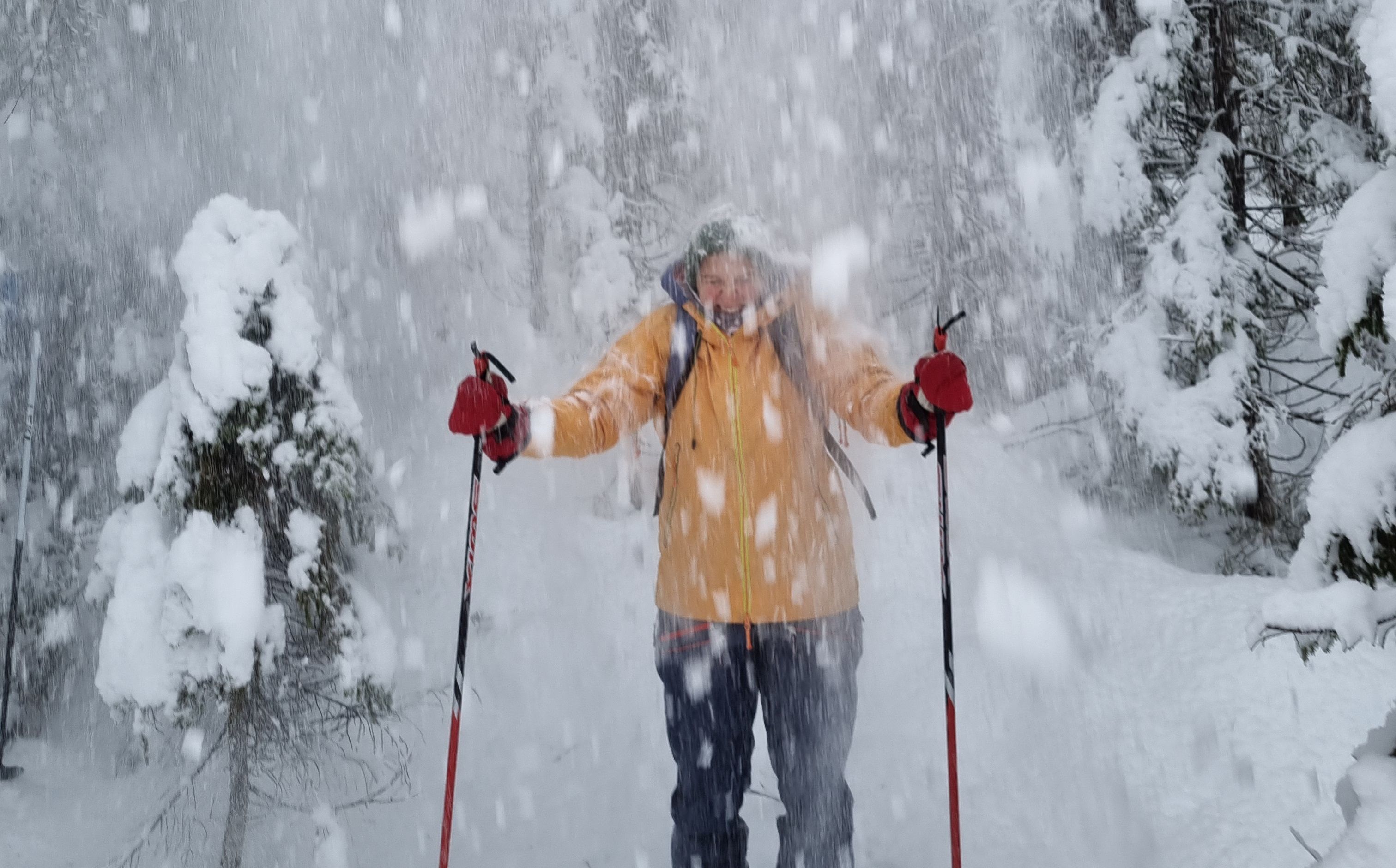 Norway Mountain Guides