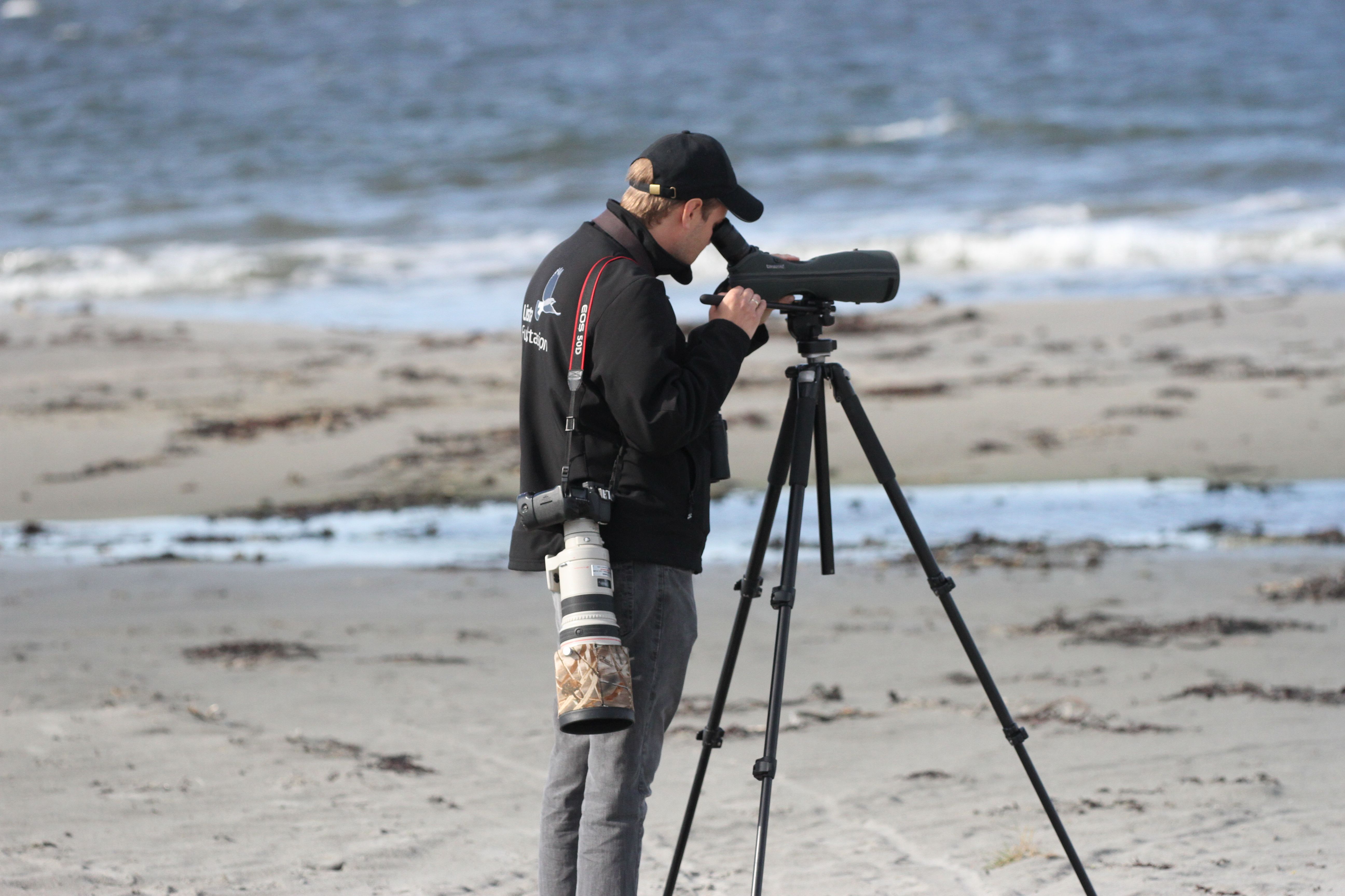 Fuglekikking på Lista