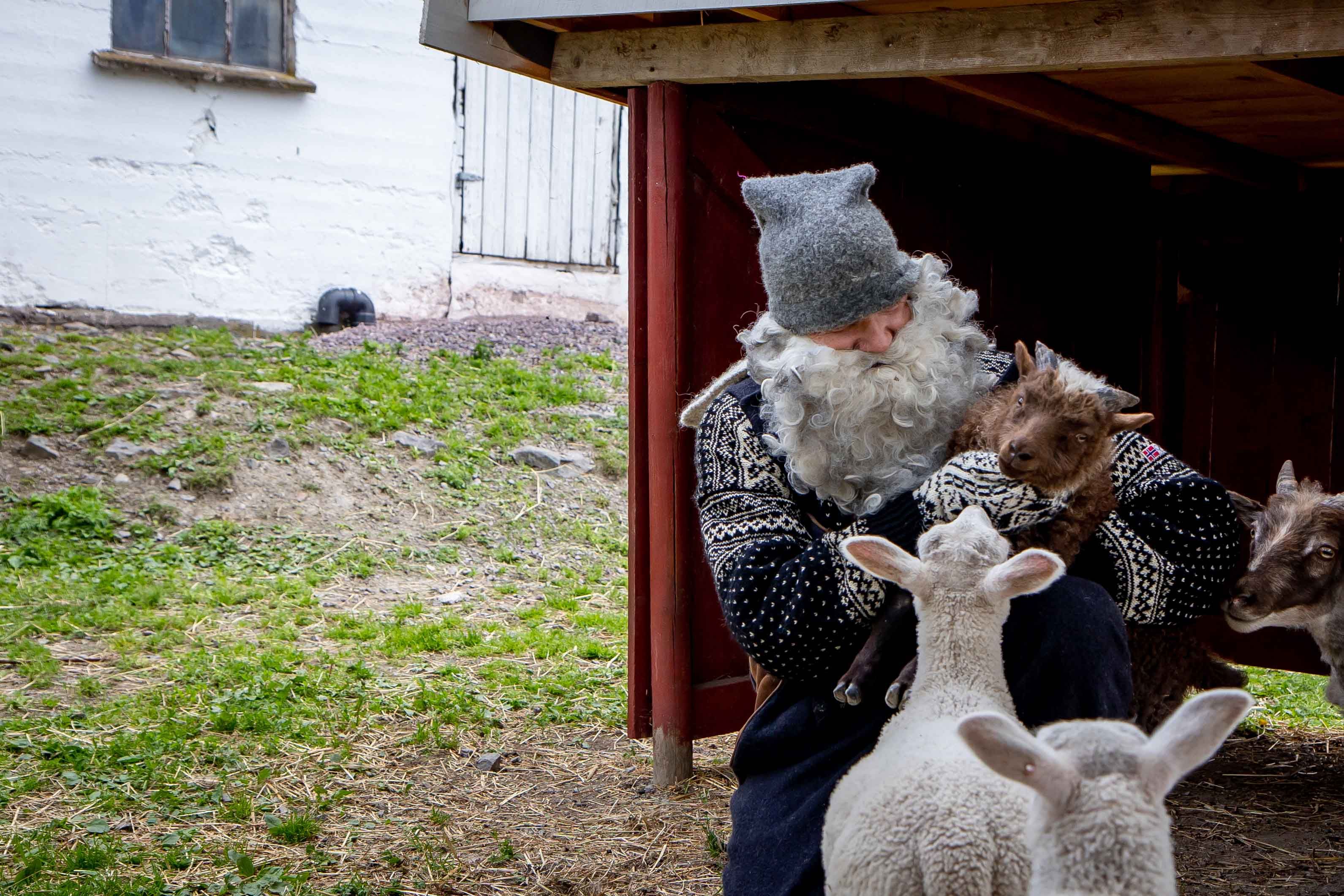Gray Santa with lamb