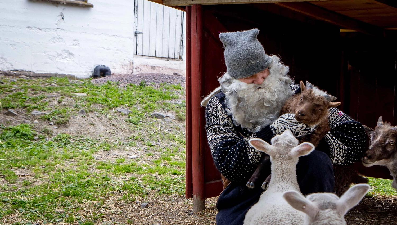 Gray Santa with lamb