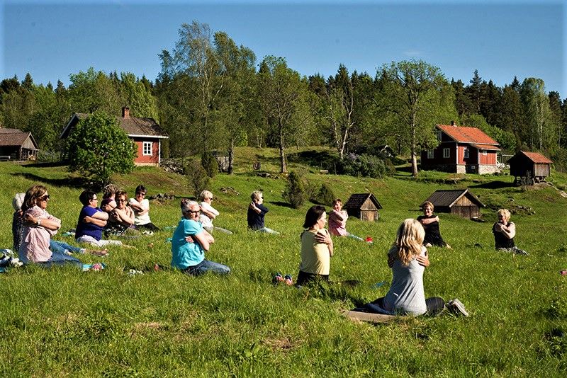 mennsker på plenen utenfor en sæter, som driver med yoga