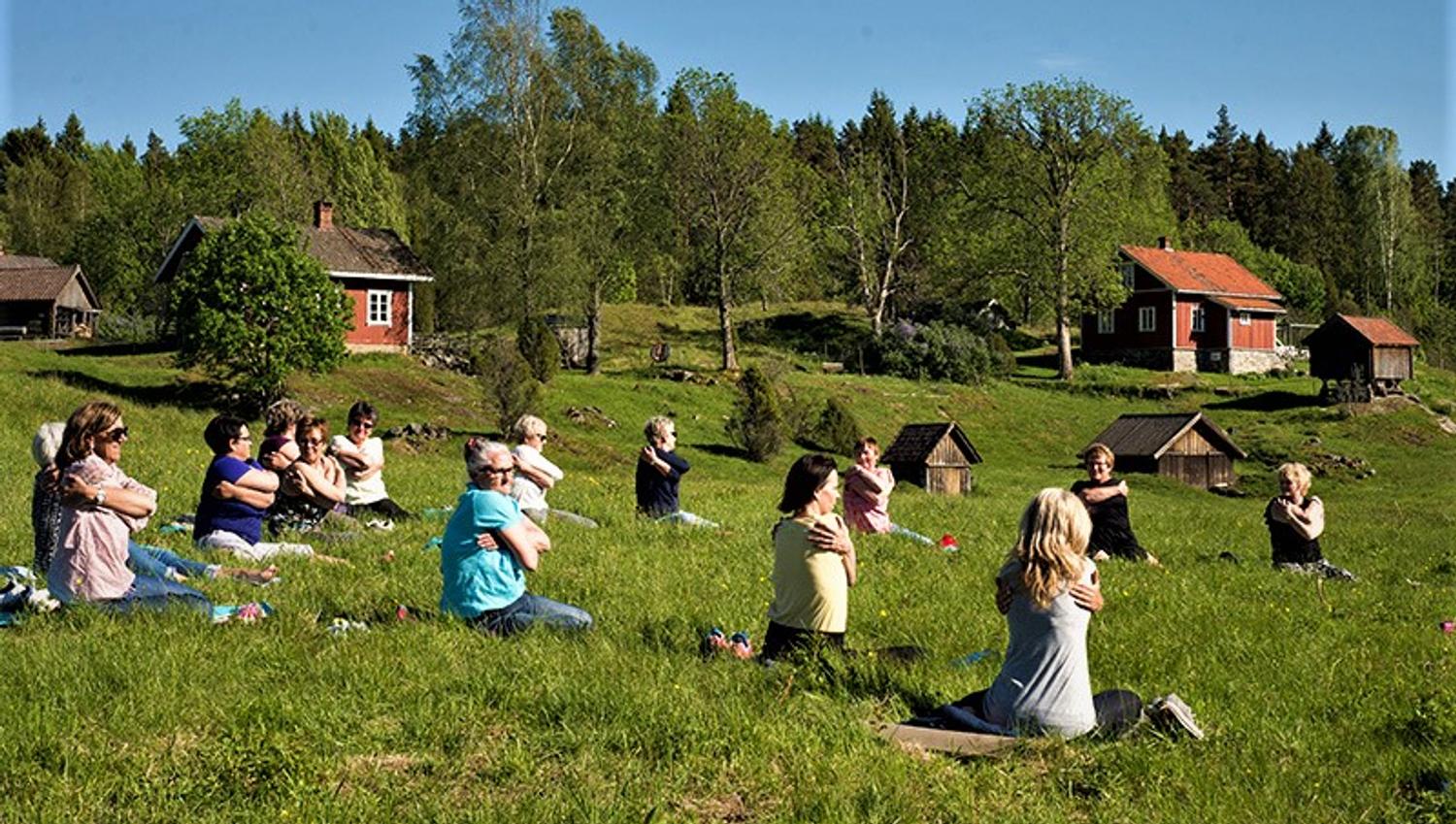 mennsker på plenen utenfor en sæter, som driver med yoga