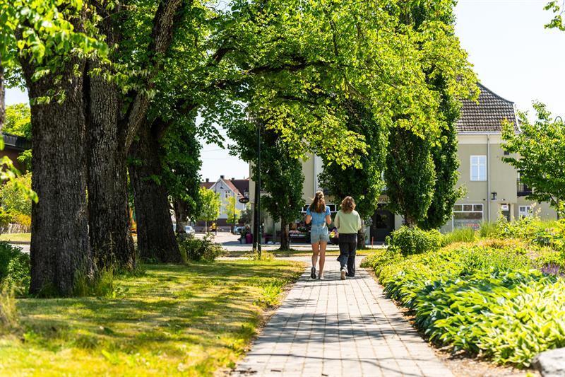 To som går i parken