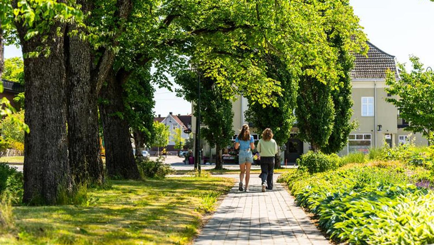 To som går i parken