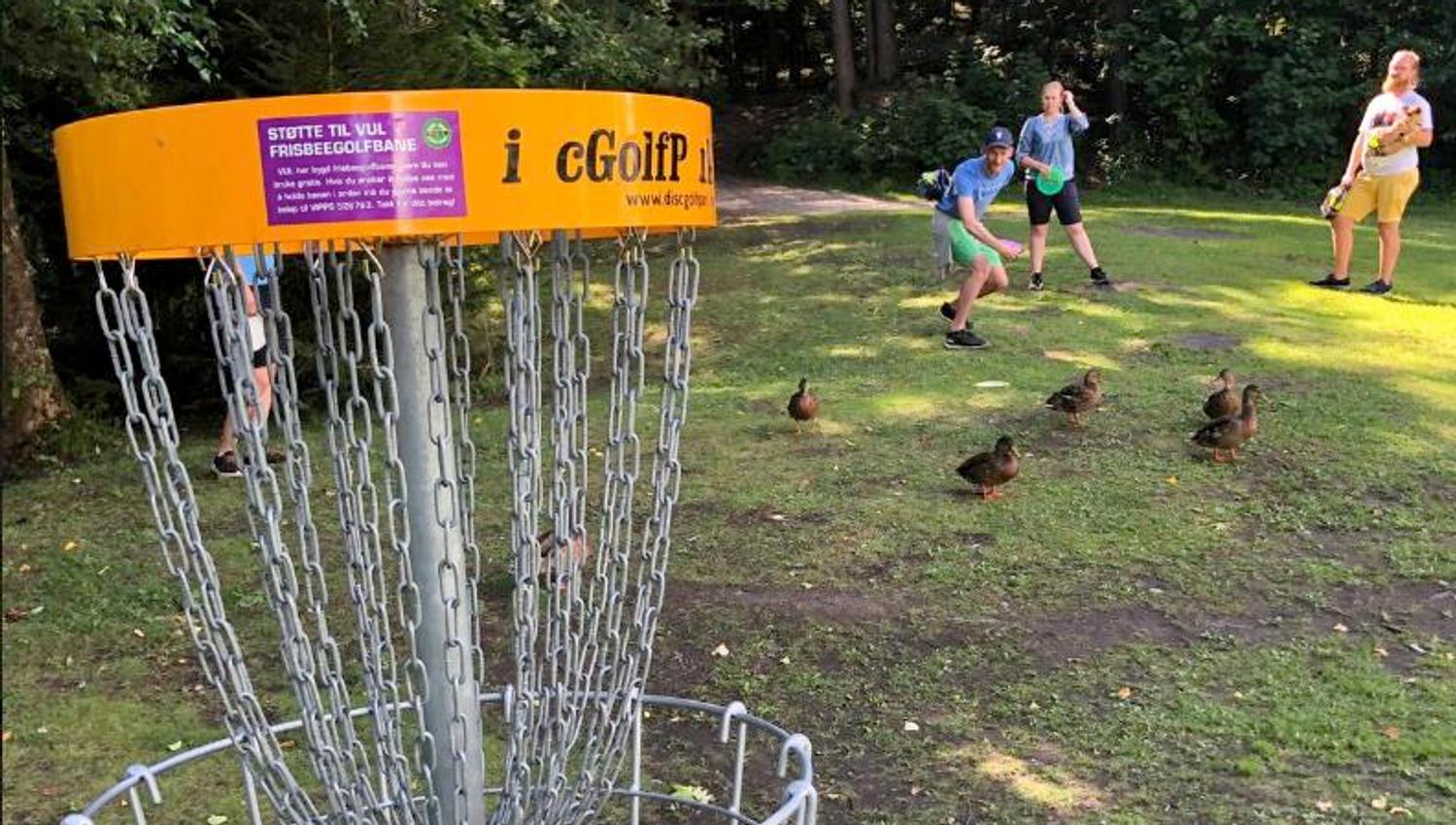 Frisbee golf