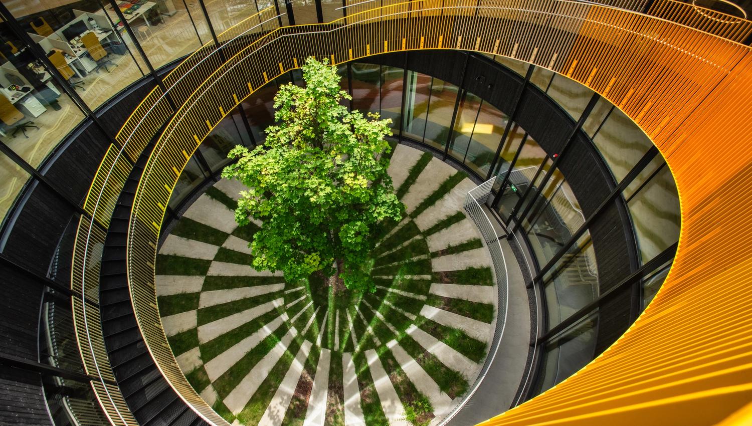 Atrium'et The Plus