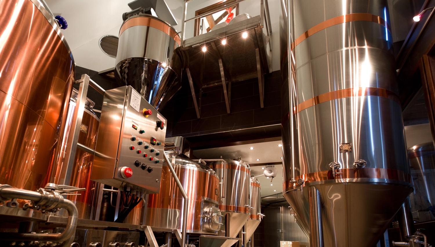 Ægir BryggeriPub