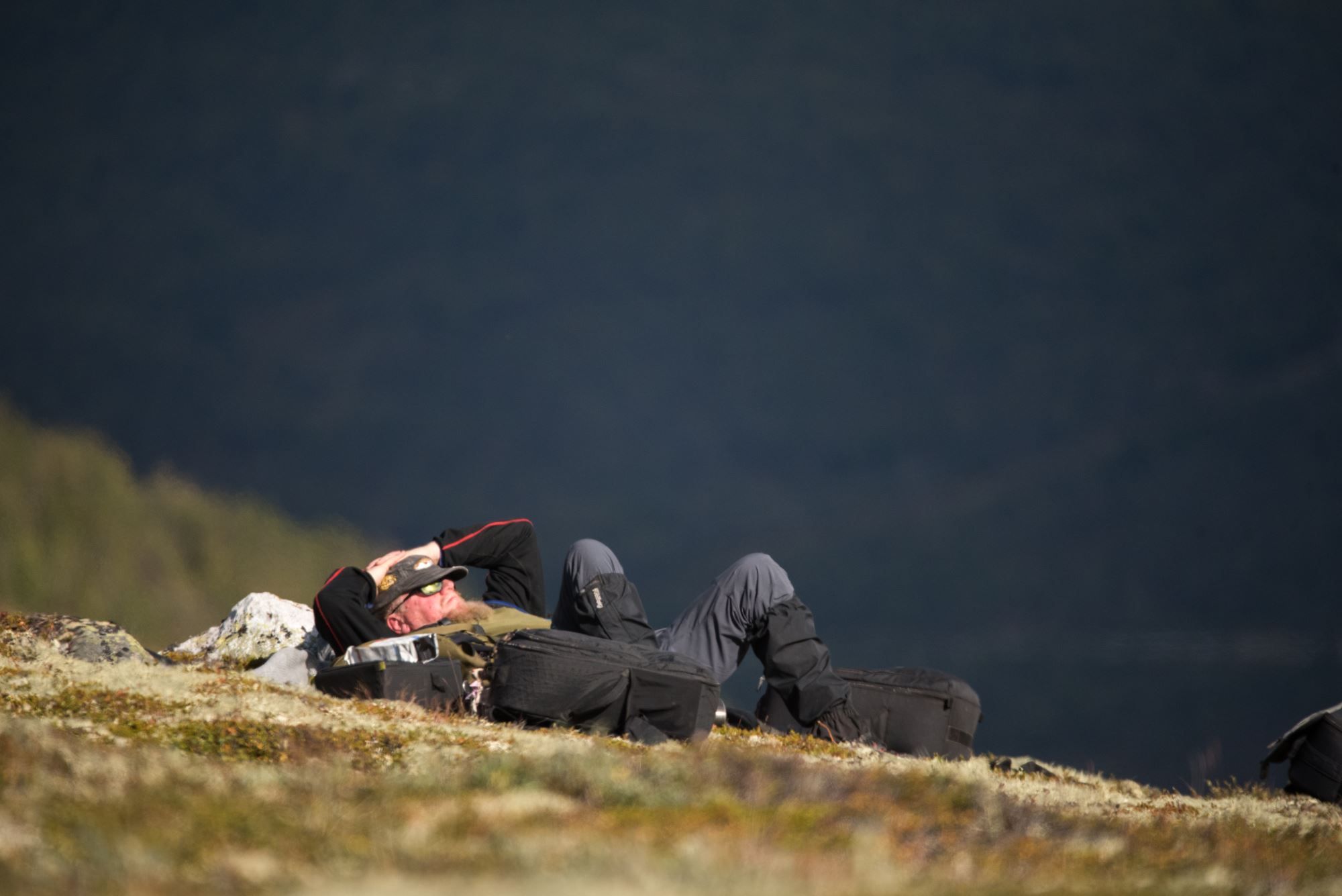 Fotosafari med personlig guide