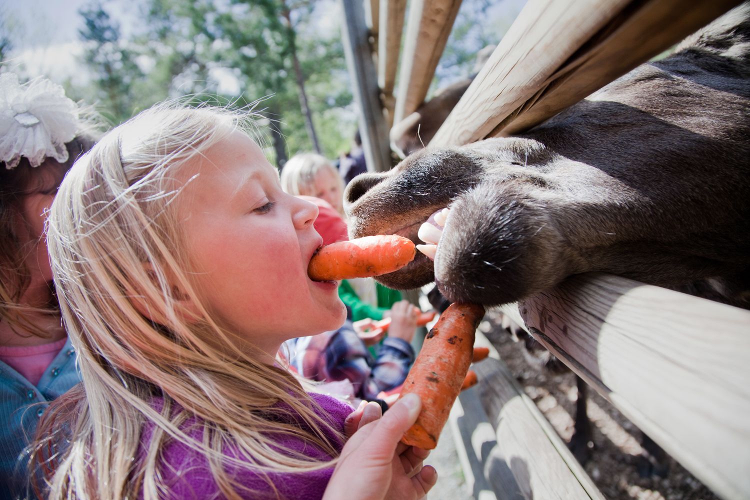 Mennesker og Dyr. Foto Thomas Mørch (14)