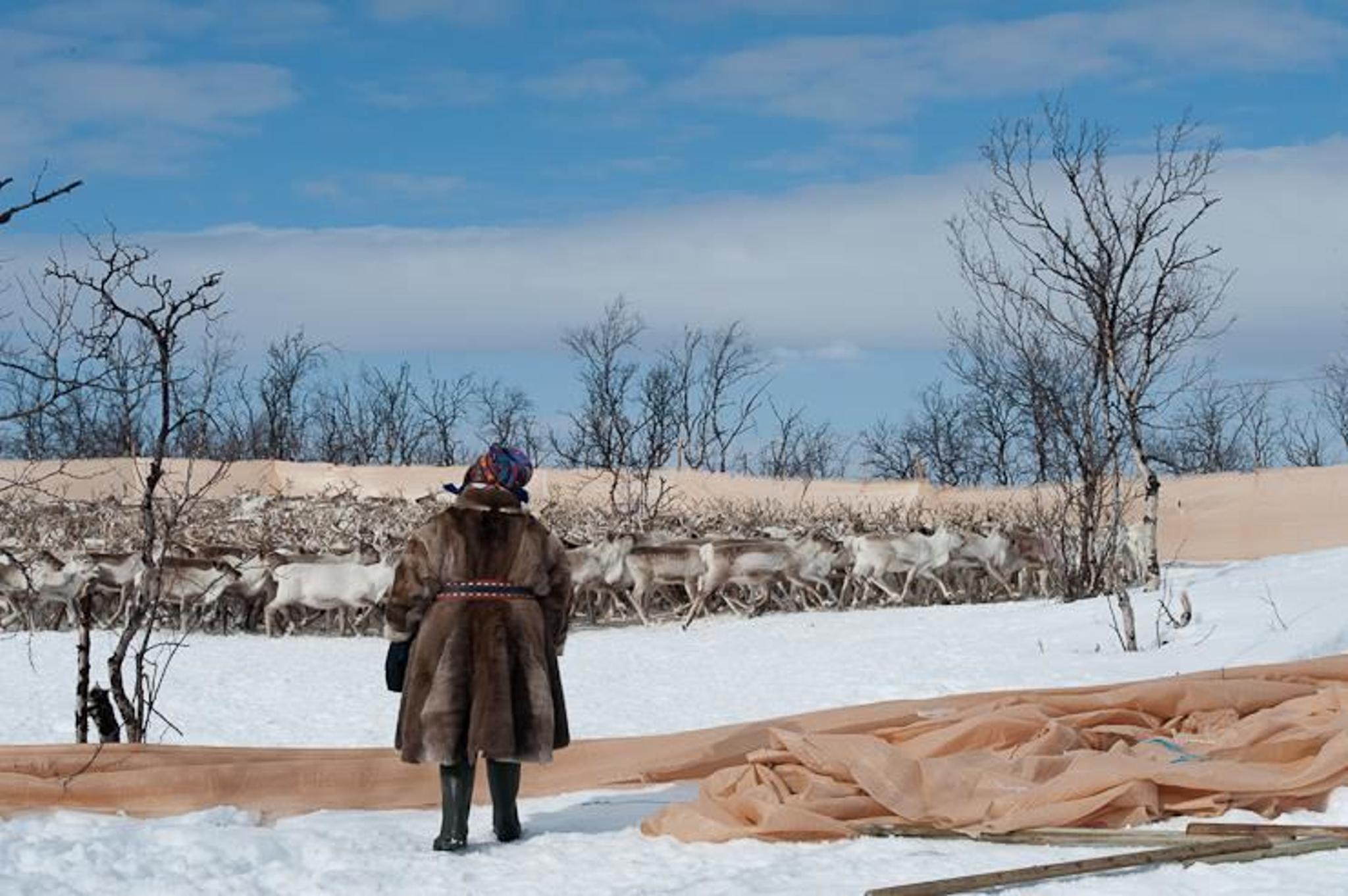 Samiske opplevelser med Turgleder