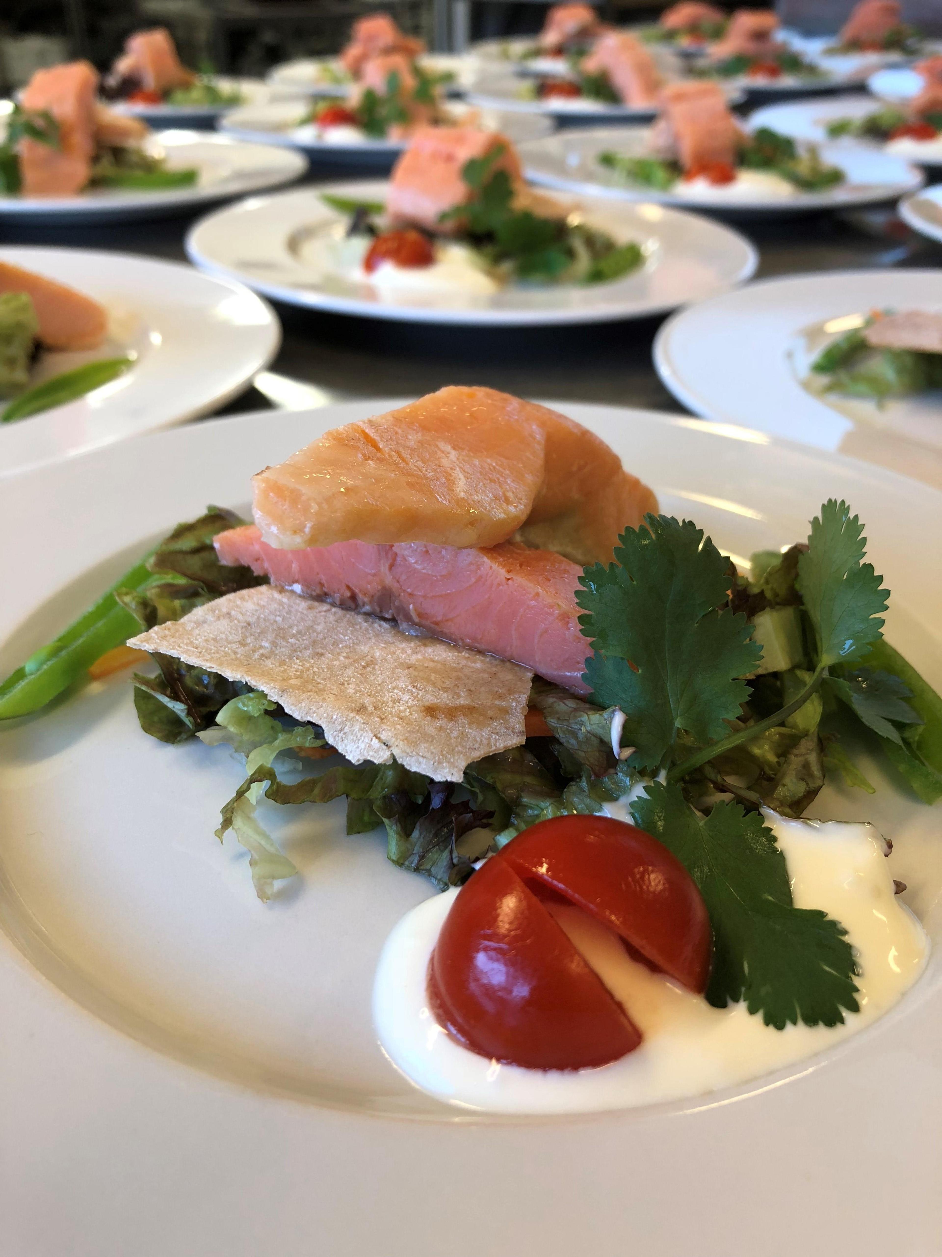 Forstmann - Vårrøye 2