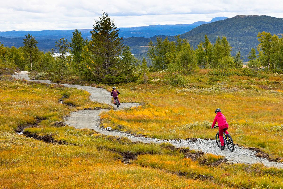To terrengsyklister på tilrettelagt sykkelsti på fjellet.