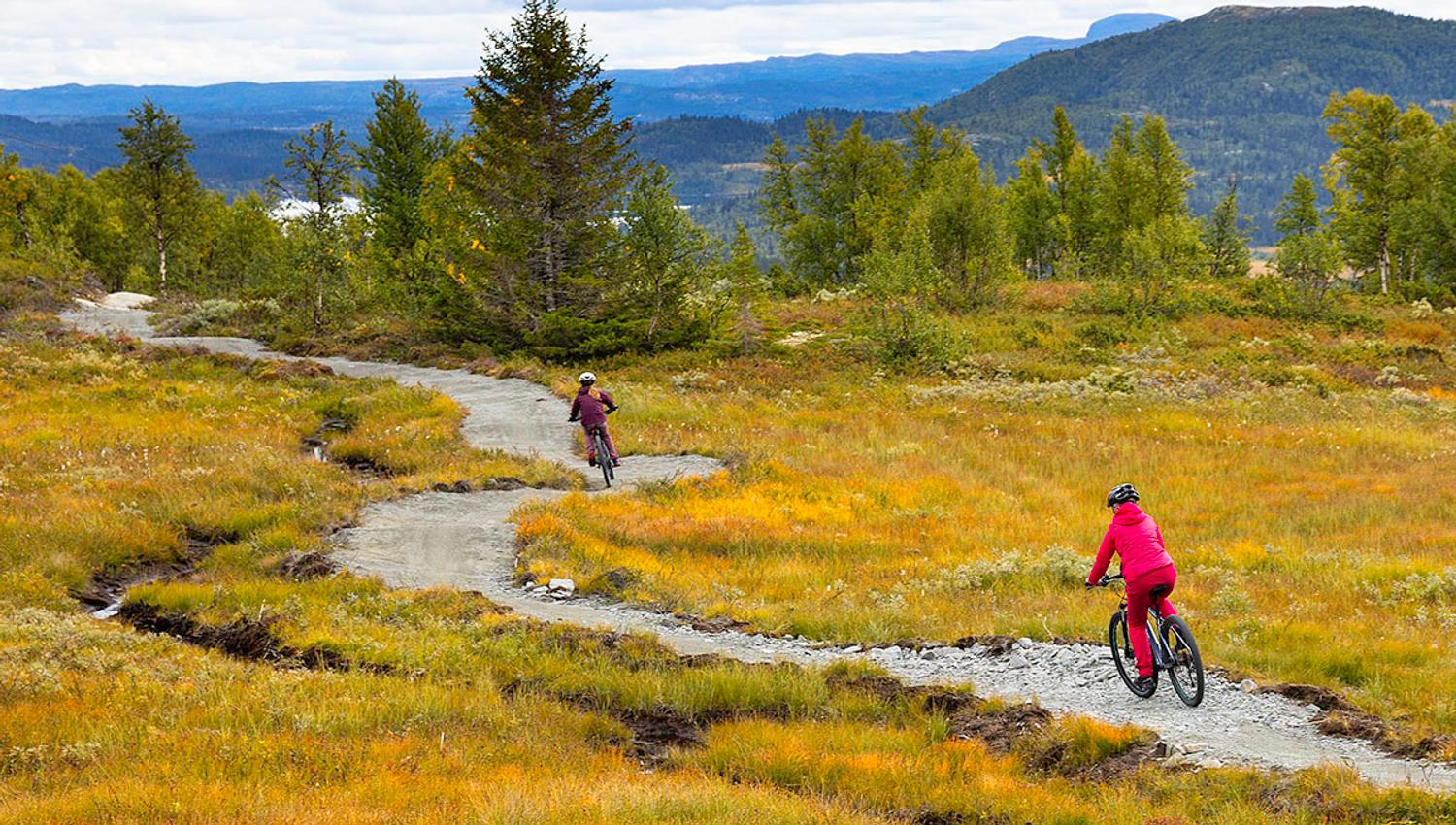 To terrengsyklister på tilrettelagt sykkelsti på fjellet.