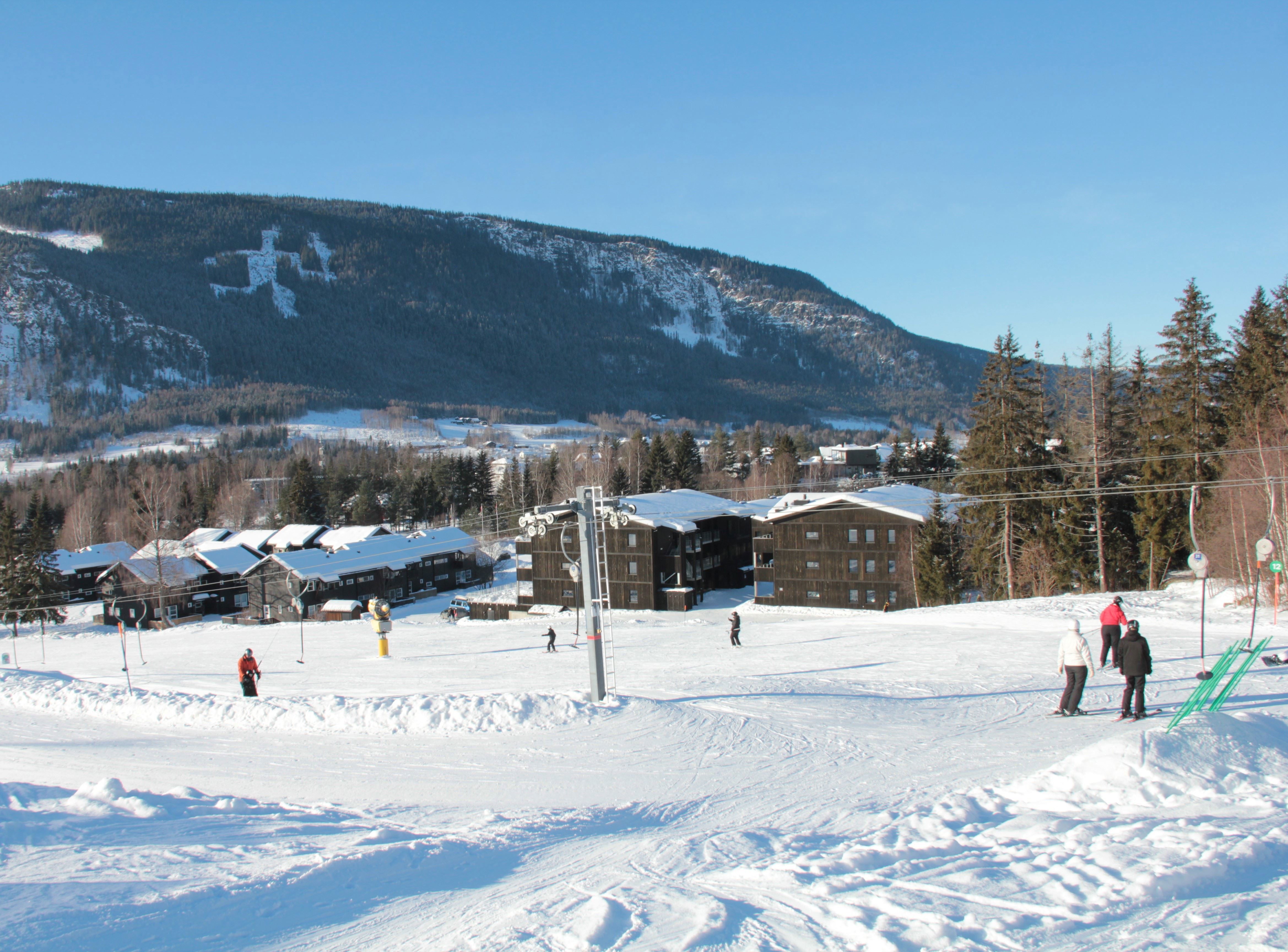 A group of people skiing on a snow-covered mountain.