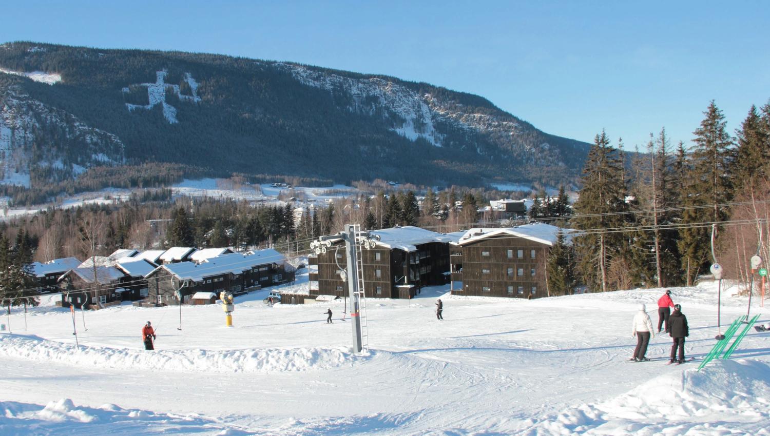 A group of people skiing on a snow-covered mountain.