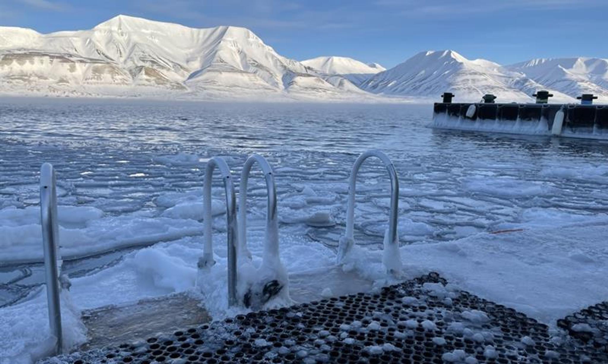 Ladders along a quay in a fjord with drift ice along the quay. Snow-covered mountains lit up by the sun are visible in the background.