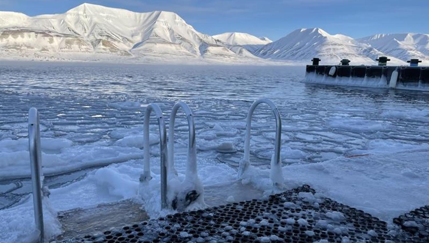 Stiger langs en kai i en fjord med drivis langs kaien. I bakgrunnen er snødekte fjell belyst av sola.