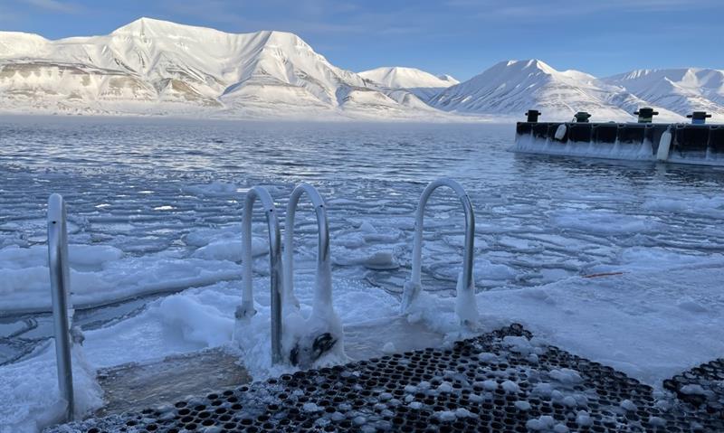 Ladders along a quay in a fjord with drift ice along the quay. Snow-covered mountains lit up by the sun are visible in the background.