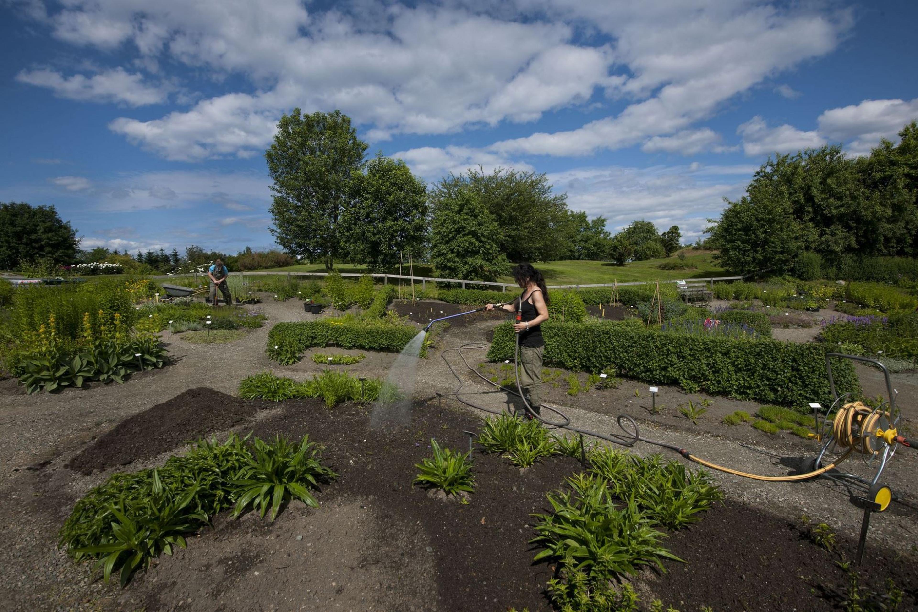 Ringve Botaniske Hage